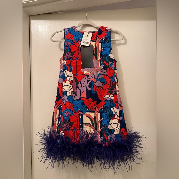 Tuckernuck Climbing Cosmos Sleeveless Mod Ellie Dress - Picture 2 of 8